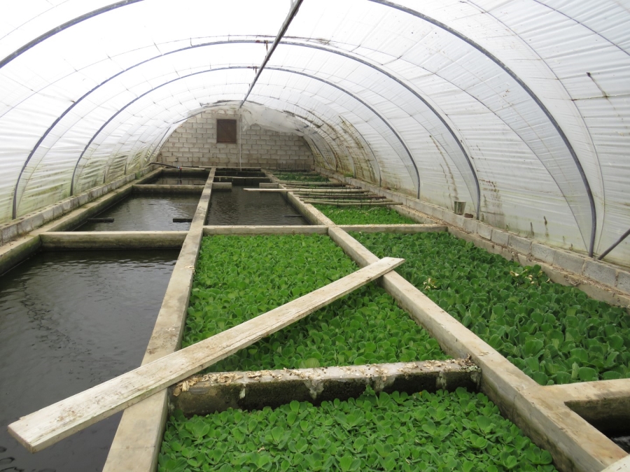 3 Bedroom Property for Sale in Bathurst Eastern Cape